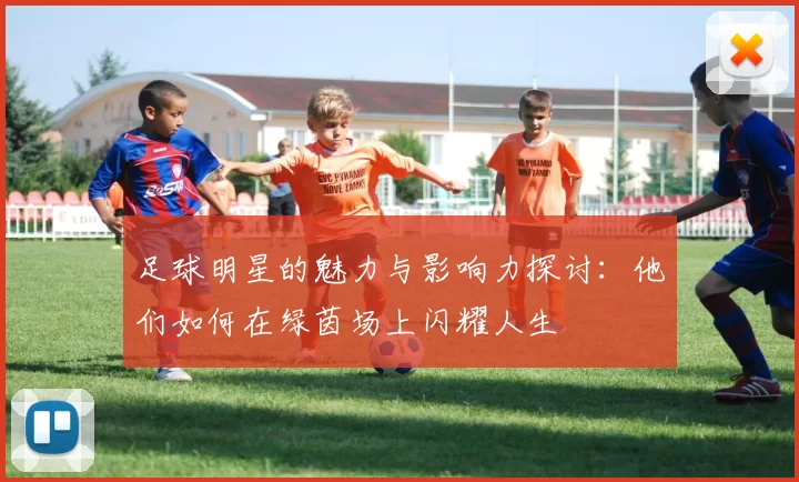 足球明星的魅力与影响力探讨：他们如何在绿茵场上闪耀人生