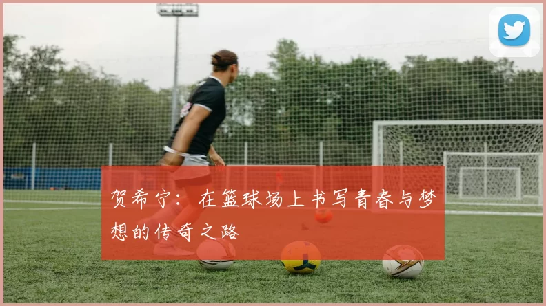 贺希宁：在篮球场上书写青春与梦想的传奇之路