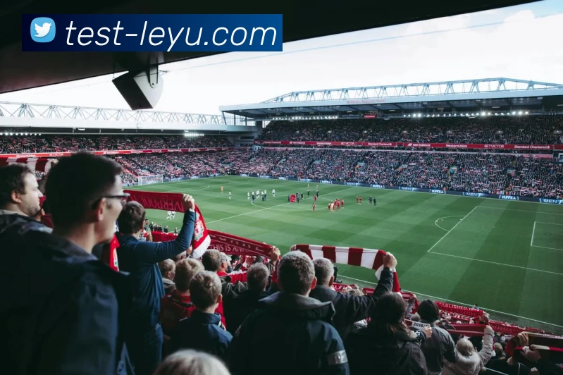 leyu.com发展历程